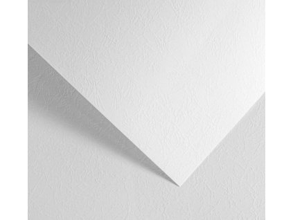 Snímek obrazovky 2026 01 22 095405