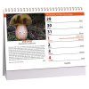 236283 kalendar houby 2026 1