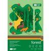Barevný papír A4 170g 20l 5barev FOREST 5ks v bal.