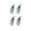 Naklejki PAPROC I EUKALIPTUS 254076 2