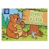 Omalovánky MFP Život v lese