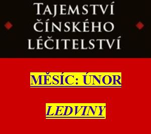 Zdraví z pohledu čínské medicíny - 2. díl: Únor a ledviny
