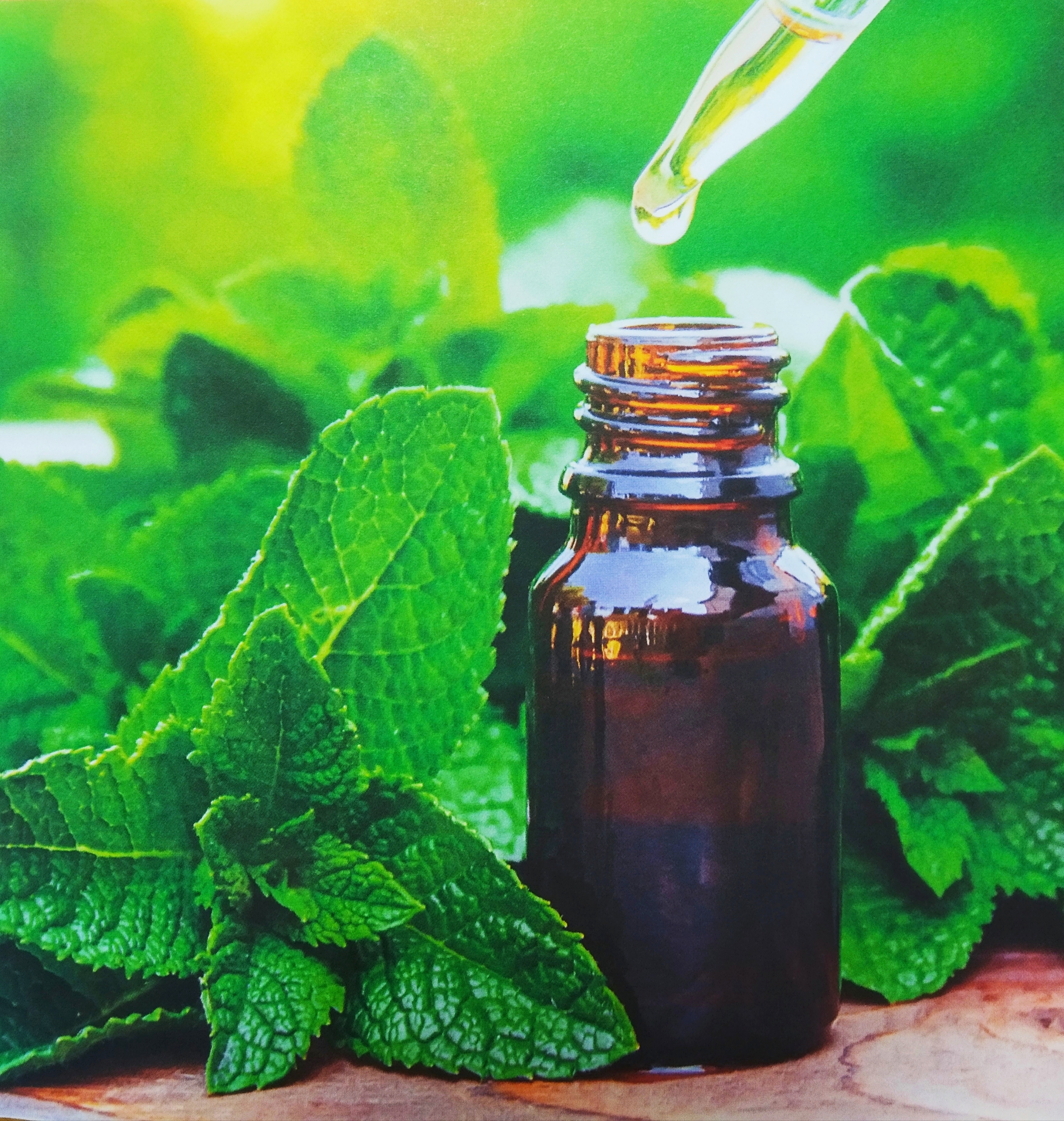 YaoMedica - bylinné tinktury z čínských bylinek a hub