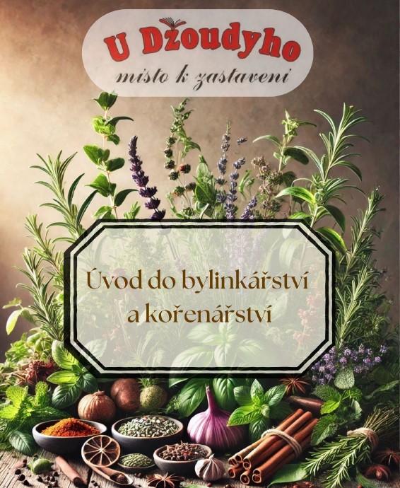 Úvod do bylinkářství a kořenářství