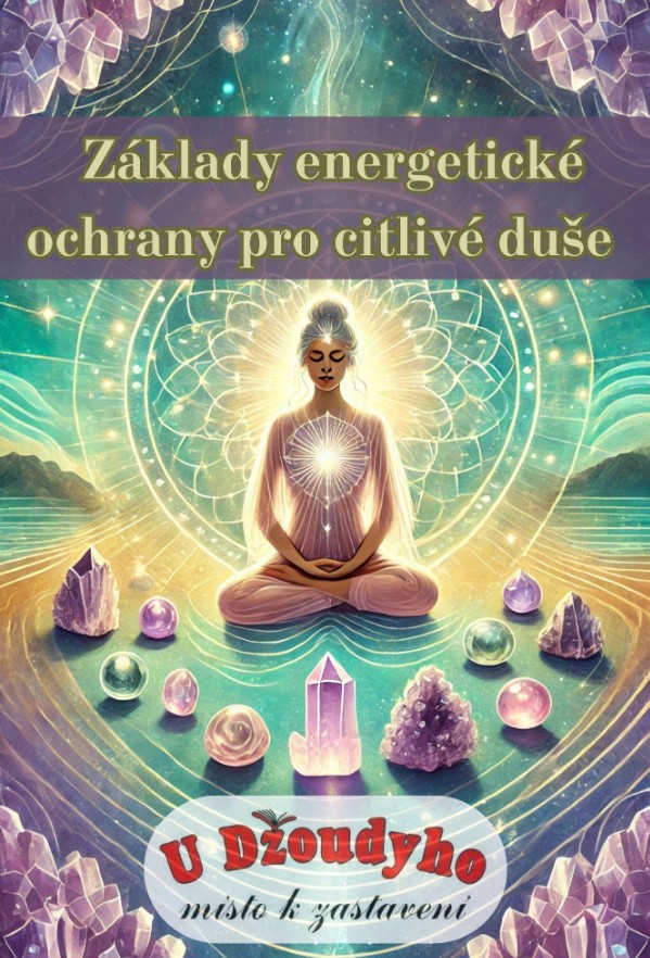 E-book Základy energetické ochrany