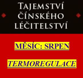 Zdraví z pohledu čínské medicíny - 8. díl: Srpen a termoregulace