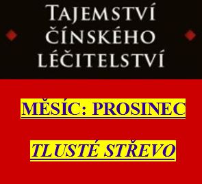 Zdraví z pohledu čínské medicíny - 12. díl: Prosinec a tlusté střevo