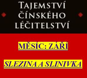 Zdraví z pohledu čínské medicíny - 9. díl: Září, slezina a slinivka