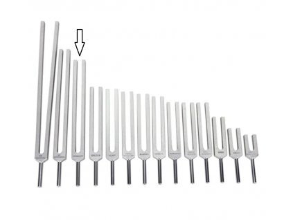 Ladička žaludek 126,90 Hz