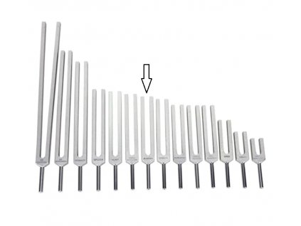 Ladička močový měchýř 343,80 Hz