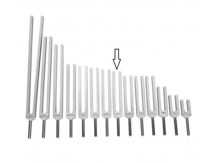 Ladička ledviny 383,70 Hz