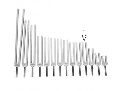 Ladička žlučník 506,80 Hz