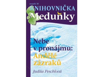 Knihovnička Meduňky - Nebe v pronájmu