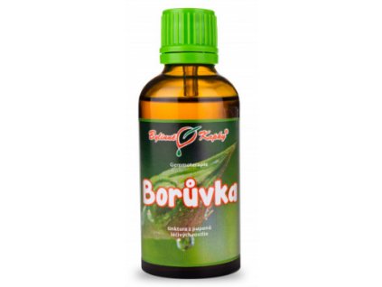 Borůvka