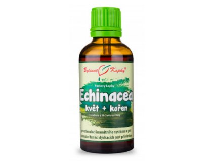 Echinacea K+K