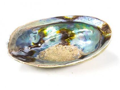 paua