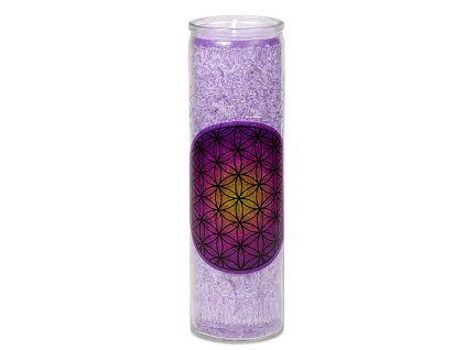 Snímek obrazovky 2025 01 27 124637