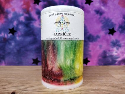 319 4 jarnicek.jpg copy