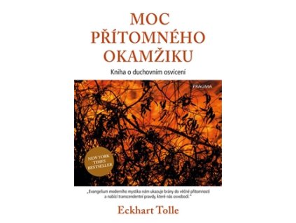 Moc přítomného okamžiku