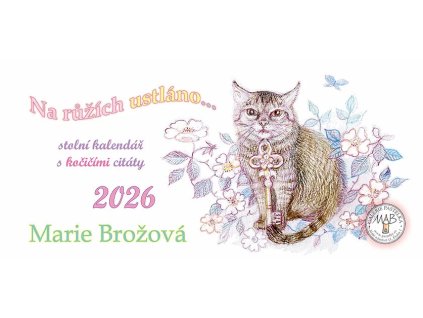 Snímek obrazovky 2025 09 09 182739