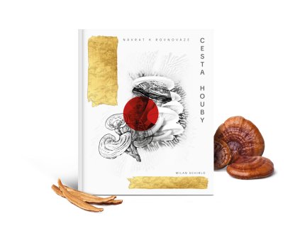 Cesta houby návrat k rovnováze