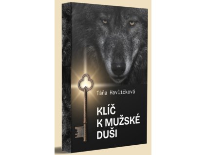 Snímek obrazovky 2026 02 17 124344