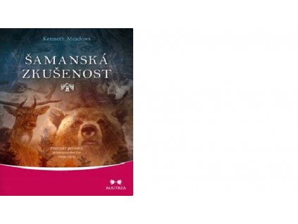 šamanská zkušenost