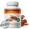 REISHI TRITERPEN 2