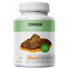 CHAGA