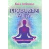 probuzeni aury cviceni na posileni energetickeho tela 9788073367190 3