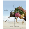 maca 4x power bio kapsle 150 ks 3