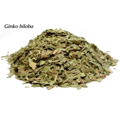 Ginko biloba