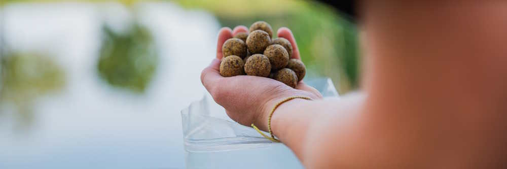 Poctivé boilies na kapry – náš fokus na vývoj