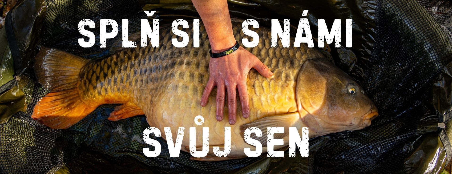Splň si s námi svůj sen a ulov na naše nástrahy svůj životní úlovek.