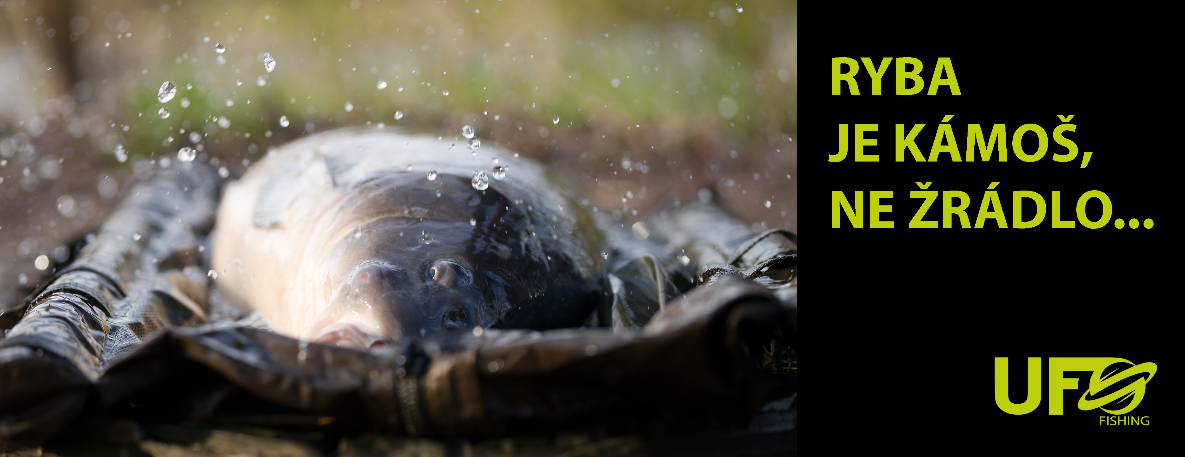 Udivený rybář s velkým kaprem