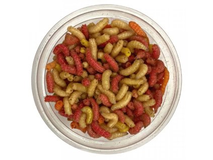 cervi