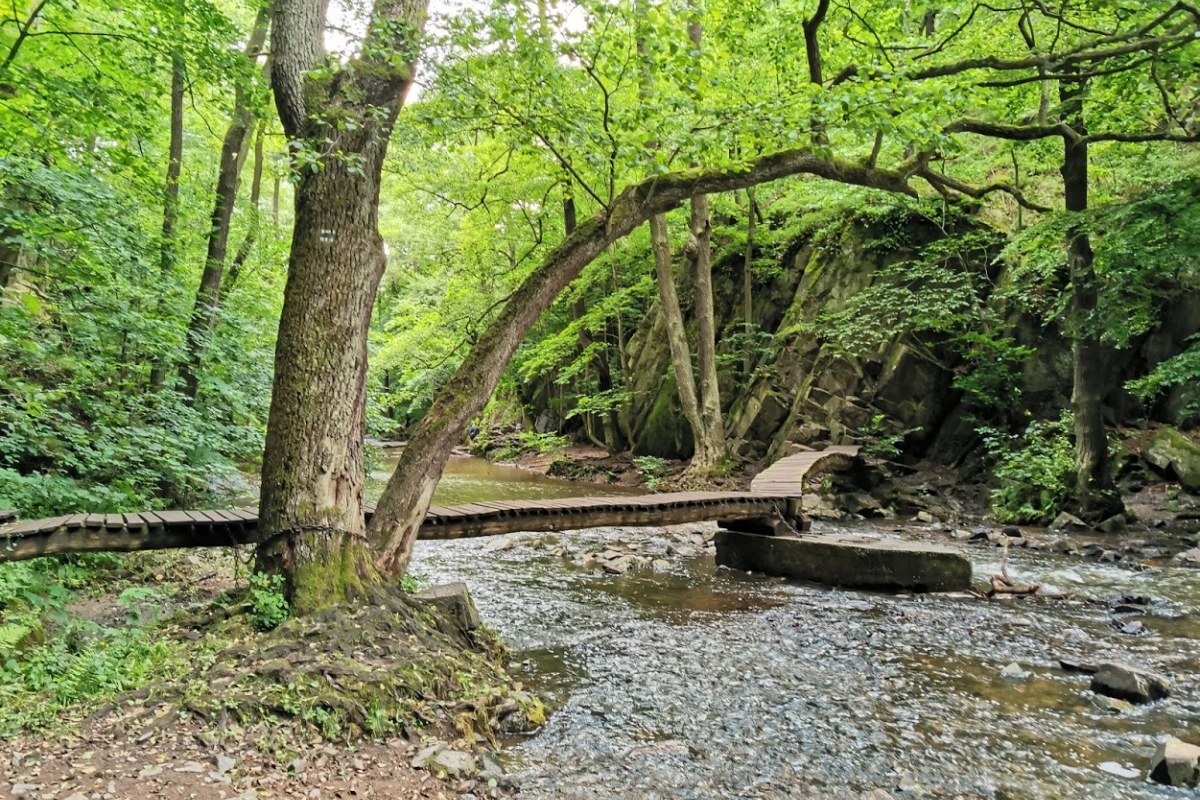 7 tipů na focení v přírodě