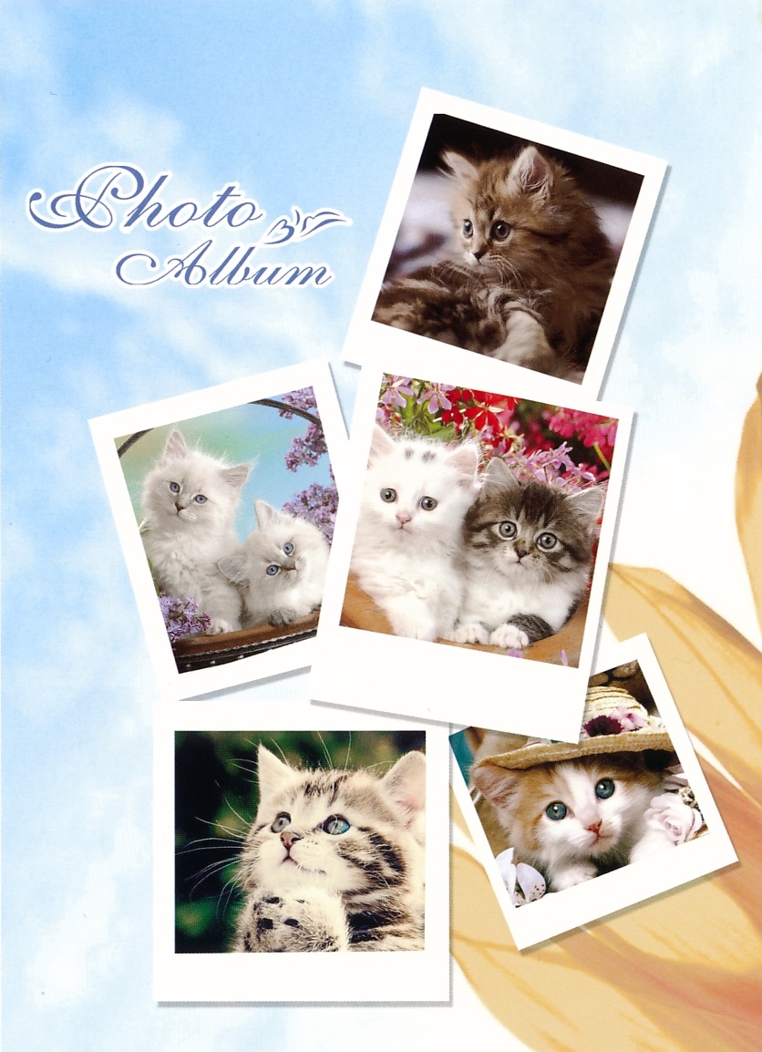 Fotoalbum 10x15/36 kočky