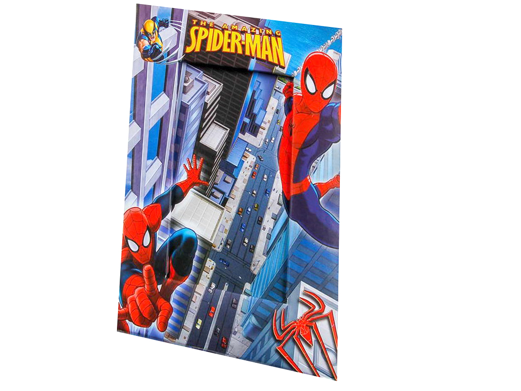 Levně Fandy Fotorámeček Disney 10x15 10 SPIDER-MAN