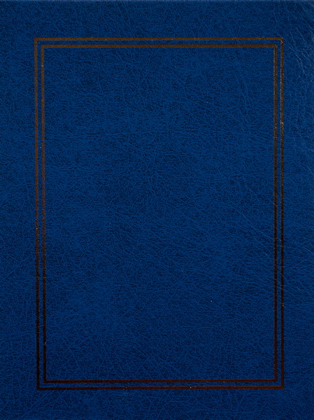 Levně Fandy Fotoalbum MM-46100 Vinyl 4 modré