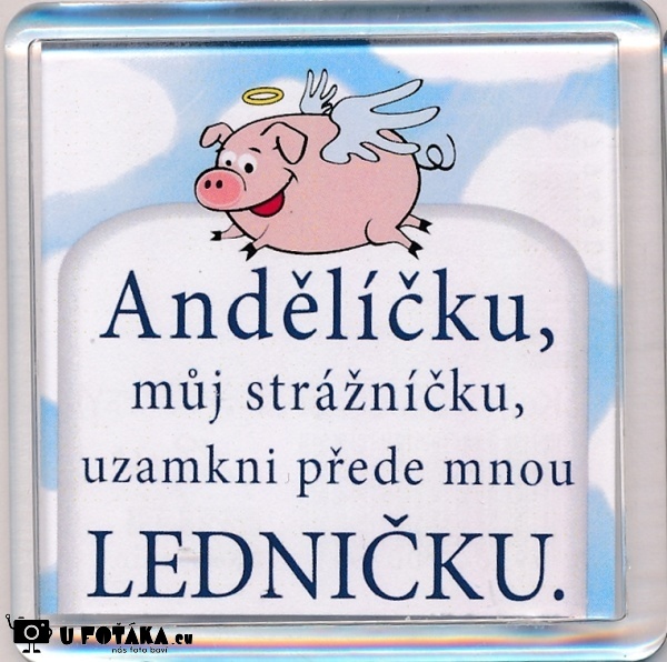 Levně Nekupto Magnet ledničkový 2 004