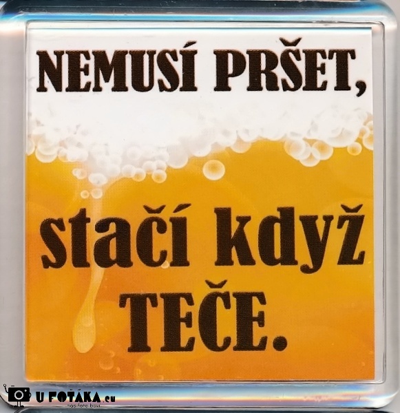 Levně Nekupto Magnet ledničkový 2 009