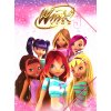 Desky s gumičkou Winx Club parta