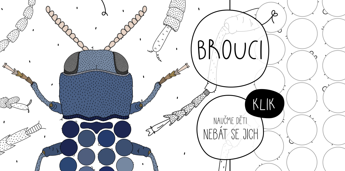brouci