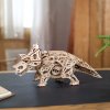 Set: Stegosaurus + Triceratops
