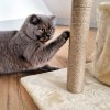 Grebalica za mačke u obliku drveta TREEN, krem