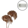 58476 1 led svetelna dekorativni vetev heracleum 75 cm medena