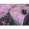 Moderní dětské povlečení MAGIC HORSE barevné s jednorožcem