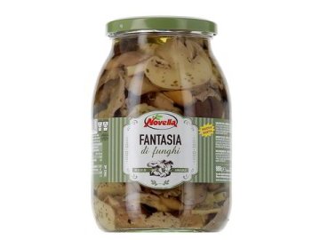 obrázek 2026 01 09 172446152