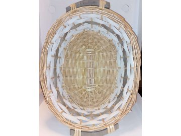 obrázek 2026 01 23 091733128